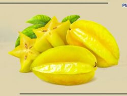 Dahsyat, Ini Lima Manfaat Konsumsi Buah Belimbing Bagi Kesehatan