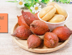 Manfaat Buah Salak Bagi Tubuh