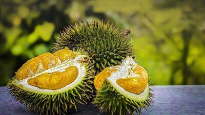 Pemkab Sanggau Bakal Gelar Kontes Durian dan Bonsai