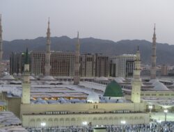 Penanaman Pohon Gaharu dan Cendana Digalakkan Gubernur Madinah