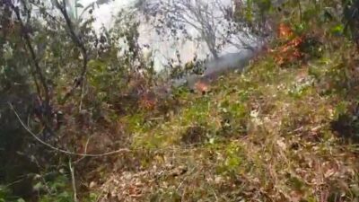 "Badan Nasional Penanggulangan Bencana (BNPB) merangkum sejumlah kejadian bencana yang terjadi di berbagai wilayah Indonesia selama periode pemantauan 24 jam terakhir, terhitung sejak Sabtu (19/07/2025) pukul 07.00 WIB hingga Minggu (20/07/2025) pukul 07.00 WIB."