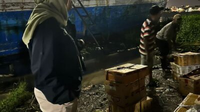 BKSDA Kalbar Gagalkan Penyelundupan 625 Ekor Burung Liar