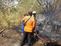 Bencana Terbaru di Indonesia: BNPB Catat Kejadian Bencana dan Antisipasi Dampak Cuaca