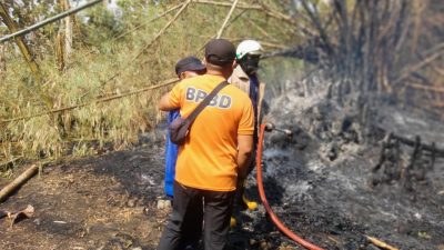 "Badan Nasional Penanggulangan Bencana (BNPB) merilis rangkuman laporan bencana dalam 24 jam terakhir, terhitung dari Minggu (28/9) hingga Senin (29/9) pukul 07.00 WIB. (Dok. BNPB)"