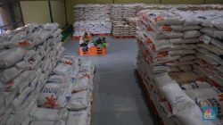 29 Ribu Ton Beras Bulog Turun Mutu dan 1,45 Juta Ton Menumpuk di Gudang