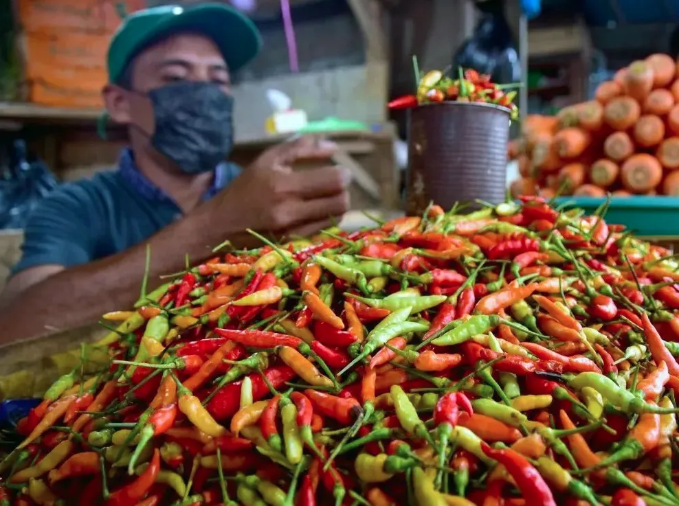 Harga Cabai Rawit dan Telur Ayam Turun hingga 20 Persen Jelang Nataru