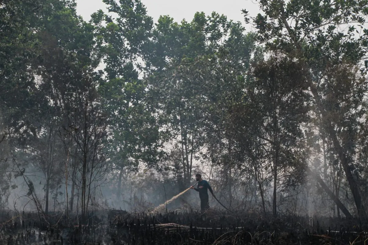 Karhutla Palangka Raya Kepung Gobos, Asap Pekat Bikin Sesak
