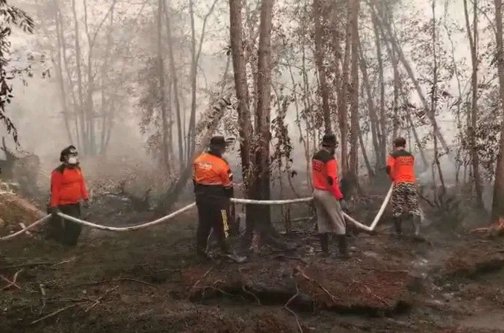 Api Karhutla Papua Selatan Kepung Sawit Swasta, Drone BNPB-BMKG Disiagakan