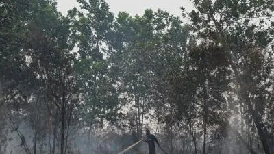 Karhutla Palangka Raya Kepung Gobos, Asap Pekat Bikin Sesak