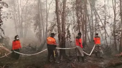 Api Karhutla Papua Selatan Kepung Sawit Swasta, Drone BNPB-BMKG Disiagakan