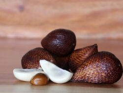 Ini 5 Manfaat Buah Salak Bagi Kesehatan Tubuh
