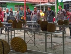 Pj Bupati Sanggau Buka Kontes Durian dan Bonsai