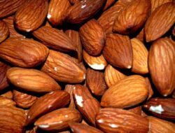 6 Manfaat Kacang Almond bagi Kesehatan, Tapi Jangan Berlebihan