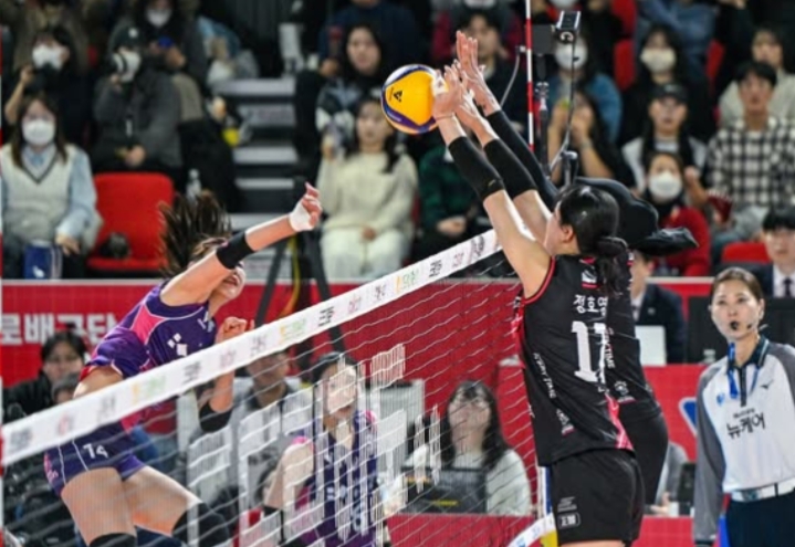 Pink Spiders vs Red Sparks di Liga Voli Putri Korea 2025/(Ig:Red_Sparks)